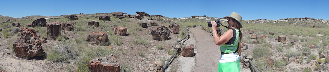 Karen Duquette at Petrified Forest National Park